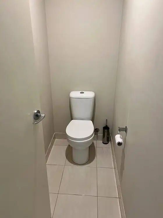 Toilet — Sanitised & Polished